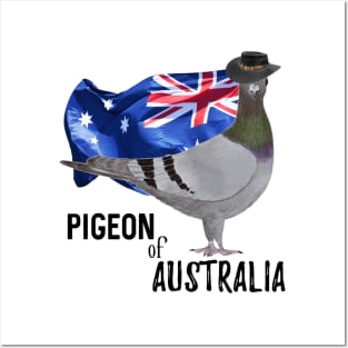 Pigeon of Australia Posters and Art